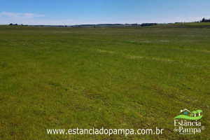 0907 (1)(15)_08d109d081cd89368f62164ec8925e53a6ad1ed1.jpg